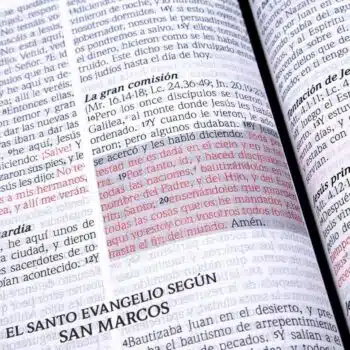Biblia de Promesas Reina Valera 1960, Tamaño Manual, Letra Grande, Piel Especial, Cierre, Marfil Biblia de Promesas Reina Valera 1960, Tamaño Manual, Letra Grande, Piel Especial, Cierre, Marfil - Imagen 12