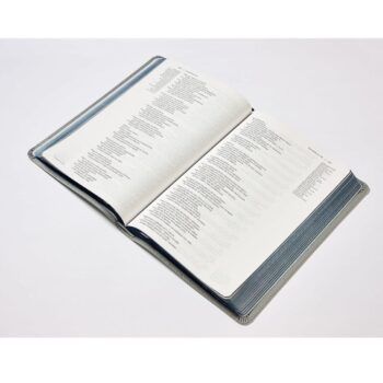 Biblia Texto revisado 2022 NVI, Piel, Gris 9780829771770 Biblia Texto revisado 2022 NVI, Piel, Gris - 9780829771770