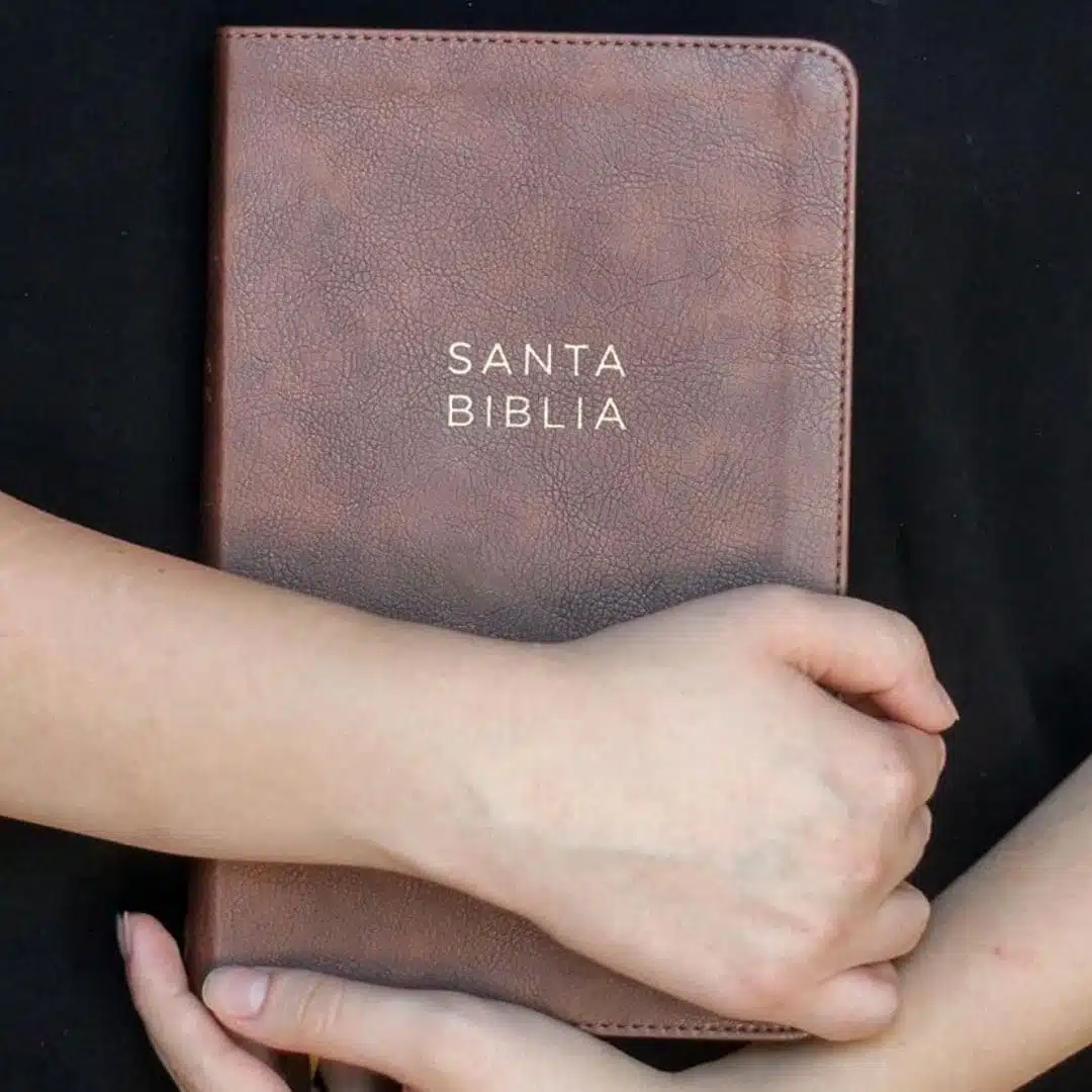 Biblia Ultrafina NBLA, Letra Grande, Piel, Café 9780829774238 Biblia Ultrafina NBLA, Letra Grande, Piel, Café - Imagen 6