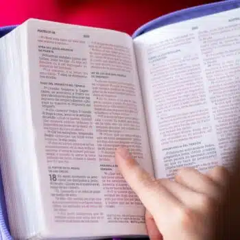 Biblia Edición Versificada NBLA, Tamaño Bolsillo, Piel, Cierre, Morada 9780829774351 Biblia Edición Versificada NBLA, Tamaño Bolsillo, Piel, Cierre, Morada - Imagen 6