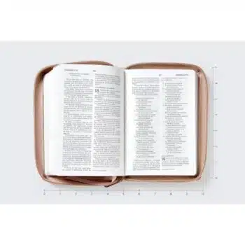 Biblia Edición Versificada NBLA, Tamaño Bolsillo, Piel, Oro Rosa 9780829774368 Biblia Edición Versificada NBLA, Tamaño Bolsillo, Piel, Oro Rosa - 9780829774368