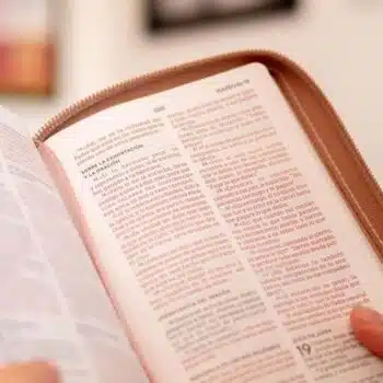 Biblia Edición Versificada NBLA, Tamaño Bolsillo, Piel, Oro Rosa 9780829774368 Biblia Edición Versificada NBLA, Tamaño Bolsillo, Piel, Oro Rosa - 9780829774368