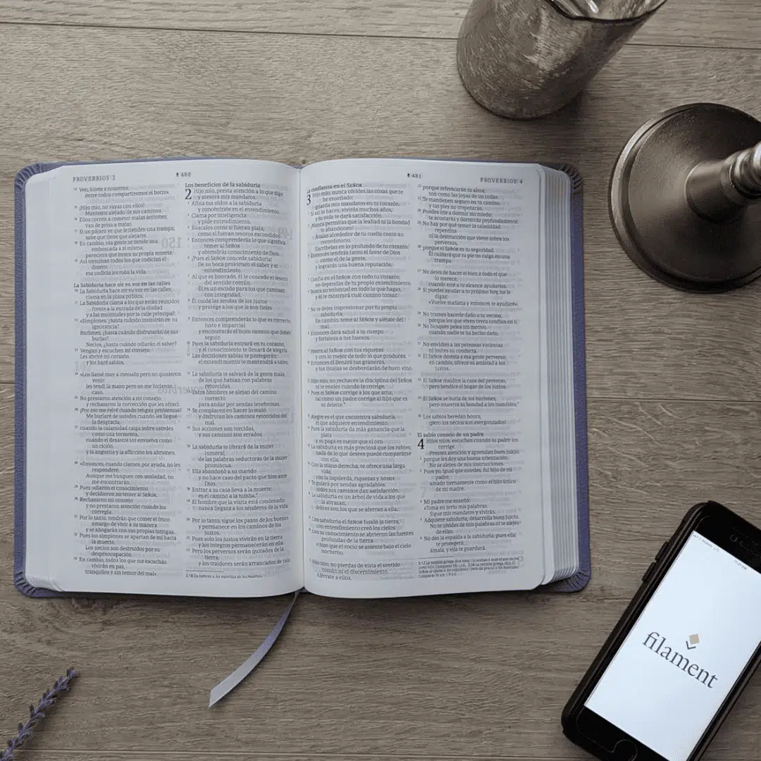 Biblia Valor Premium NTV, Símil Piel, Lavanda 9781496488947 Biblia Valor Premium NTV, Símil Piel, Lavanda - Imagen 5