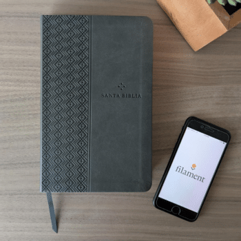 Alternative view of Biblia Valor Premium NTV, Símil Piel, Gris