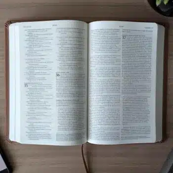 Biblia Valor Premium NTV, Símil Piel, Café 9781496488961 Biblia Valor Premium NTV, Símil Piel, Café - 9781496488961