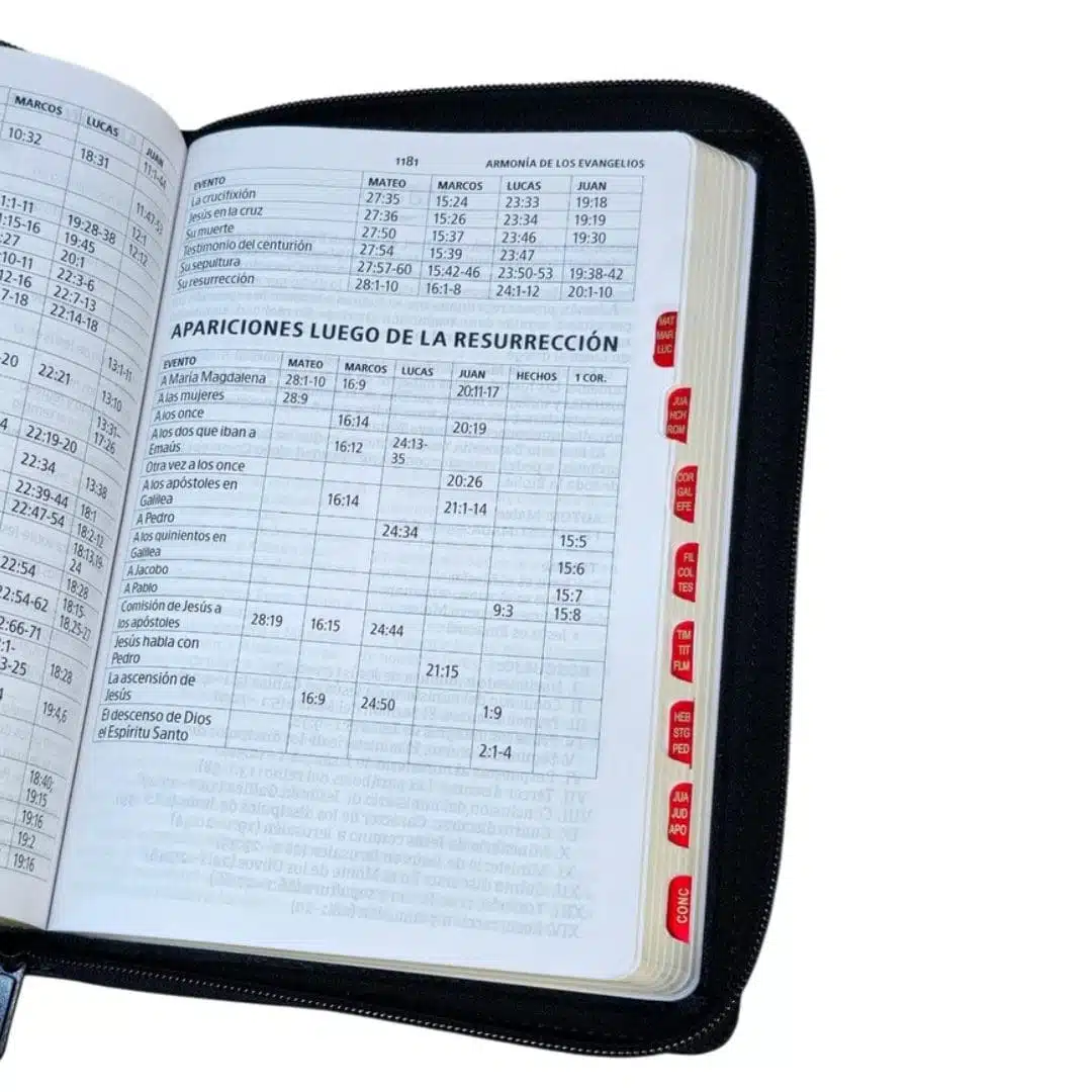 Biblia Reina Valera 1960, Tamaño Manual, Letra Grande, Símil Piel, Índice, Cierre, Negro 9798384535799 Biblia Reina Valera 1960, Tamaño Manual, Letra Grande, Símil Piel, Índice, Cierre, Negro - Imagen 3