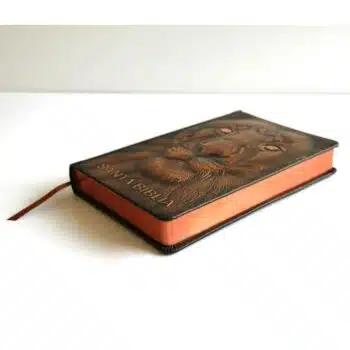 Biblia Reina Valera 1960, Letra Grande, Tapa Dura, León de Judá, Bronce, 3D 9798890980076 Biblia Reina Valera 1960, Letra Grande, Tapa Dura, León de Judá, Bronce, 3D - 9798890980076