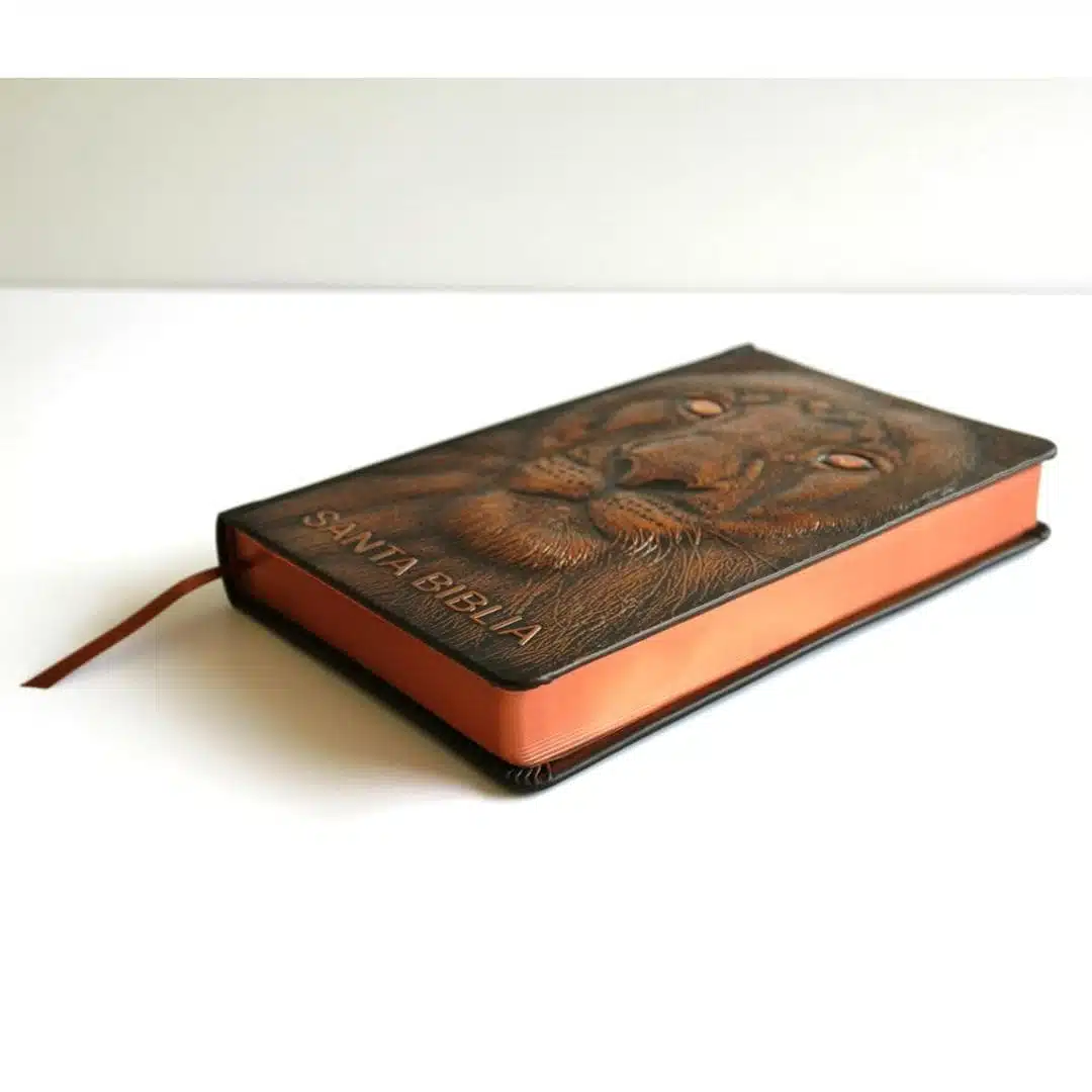 Biblia Reina Valera 1960, Letra Grande, Tapa Dura, León de Judá, Bronce, 3D 9798890980076 Biblia Reina Valera 1960, Letra Grande, Tapa Dura, León de Judá, Bronce, 3D - Imagen 3