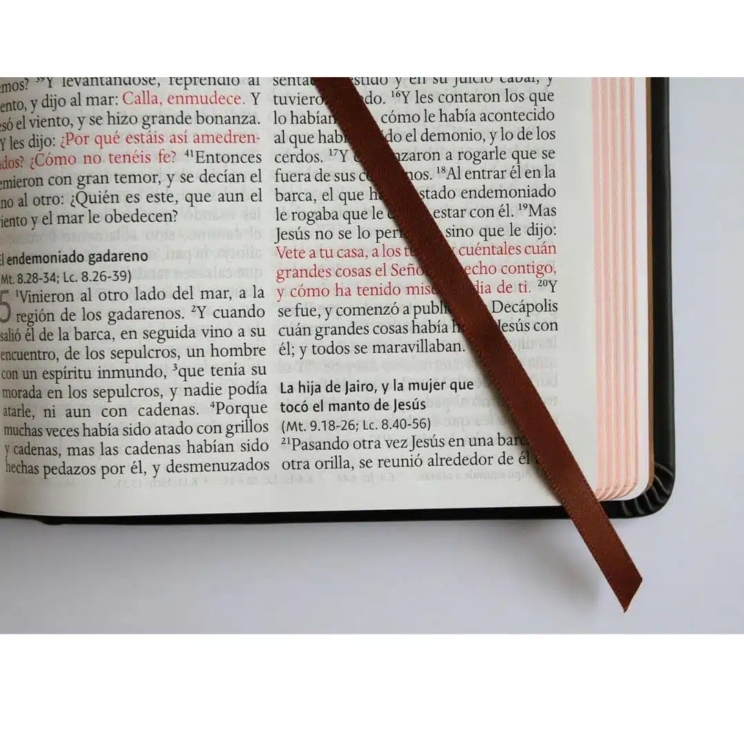 Biblia Reina Valera 1960, Letra Grande, Tapa Dura, León de Judá, Bronce, 3D 9798890980076 Biblia Reina Valera 1960, Letra Grande, Tapa Dura, León de Judá, Bronce, 3D - Imagen 5