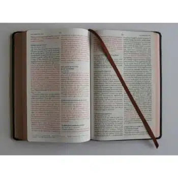 Biblia Reina Valera 1960, Letra Grande, Tapa Dura, León de Judá, Bronce, 3D 9798890980076 Biblia Reina Valera 1960, Letra Grande, Tapa Dura, León de Judá, Bronce, 3D - 9798890980076