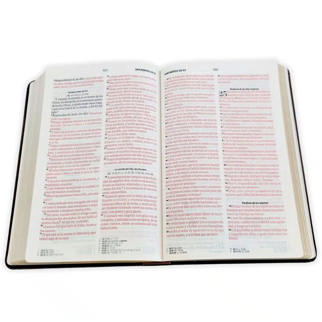 Biblia Reina Valera 1960, Tamaño Manual, Letra Grande, Símil Piel, Marrón, Canto dorado 9798893842913 Biblia Reina Valera 1960, Tamaño Manual, Letra Grande, Símil Piel, Marrón, Canto dorado - Imagen 3