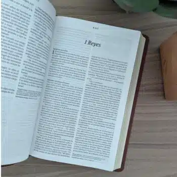 Biblia Ultrafina NTV, Filament, SentiPiel, Café 9781496486776 Biblia Ultrafina NTV, Filament, SentiPiel, Café - 9781496486776