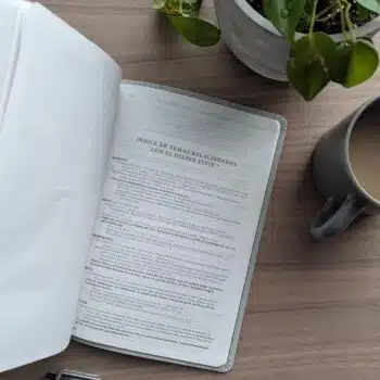 Biblia Valor Prémium, NTV, Letra Grande, Símil Piel, Gris 9781496489005 Biblia Valor Prémium, NTV, Letra Grande, Símil Piel, Gris - 9781496489005