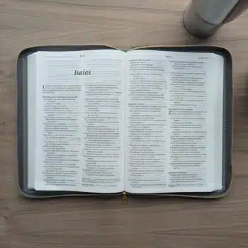 Biblia Ultrafina NTV, Letra Grande con Filament, SentiPiel, Zíper, Gris 9798400501227 Biblia Ultrafina NTV, Letra Grande con Filament, SentiPiel, Zíper, Gris - 9798400501227