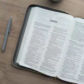 Biblia Ultrafina NTV, Letra Grande con Filament, SentiPiel, Zíper, Gris 9798400501227 Biblia Ultrafina NTV, Letra Grande con Filament, SentiPiel, Zíper, Gris - 9798400501227