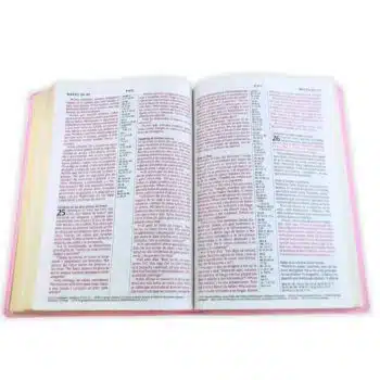 Biblia NTV, Letra Grande, Símil Piel, Filament, Rosado, Referencia en Columna 9798400506833 Biblia NTV, Letra Grande, Símil Piel, Filament, Rosado, Referencia en Columna - 9798400506833