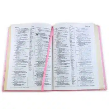 Biblia NTV, Letra Grande, Símil Piel, Filament, Rosado, Referencia en Columna 9798400506833 Biblia NTV, Letra Grande, Símil Piel, Filament, Rosado, Referencia en Columna - 9798400506833