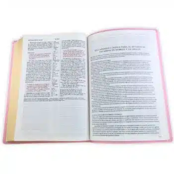 Biblia NTV, Letra Grande, Símil Piel, Filament, Rosado, Referencia en Columna 9798400506833 Biblia NTV, Letra Grande, Símil Piel, Filament, Rosado, Referencia en Columna - 9798400506833