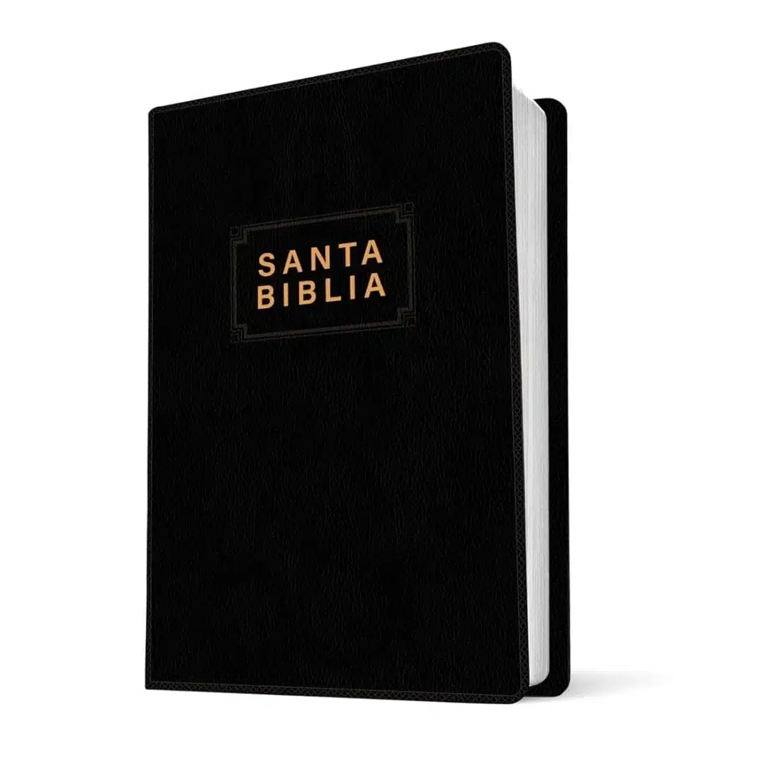 Biblia edición Premio y Regalo NTV, Tamaño Manual, Vinilo, Negro 9798400510229 Biblia edición Premio y Regalo NTV, Tamaño Manual, Vinilo, Negro