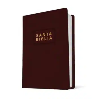 Inicio Biblia edición Premio y Regalo NTV, Tamaño Manual, Vinilo, Vinotinto