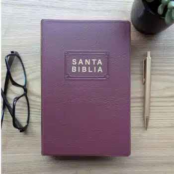 Biblia edición Premio y Regalo NTV, Tamaño Manual, Vinilo, Vinotinto 9798400510236 Biblia edición Premio y Regalo NTV, Tamaño Manual, Vinilo, Vinotinto - 9798400510236