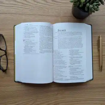 Biblia edición Premio y Regalo NTV, Tamaño Manual, Vinilo, Vinotinto 9798400510236 Biblia edición Premio y Regalo NTV, Tamaño Manual, Vinilo, Vinotinto - 9798400510236