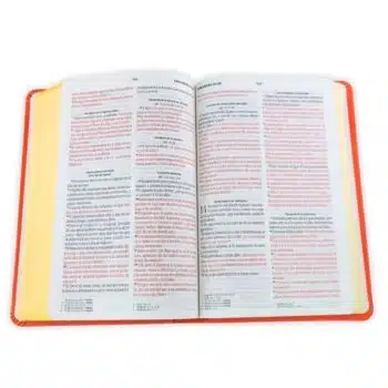 Biblia Reina Valera 1960, Tamaño Manual, Letra Grande, Símil Piel, Coral Delicado, Canto de Color 9798893842845 Biblia Reina Valera 1960, Tamaño Manual, Letra Grande, Símil Piel, Coral Delicado, Canto de Color - 9798893842845