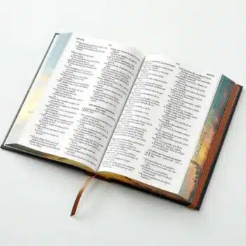 Biblia Reina Valera 1960, Letra Grande, Tapa Dura con Elastico, Negro, Canto pintado 9798893843484 Biblia Reina Valera 1960, Letra Grande, Tapa Dura con Elastico, Negro, Canto pintado - 9798893843484