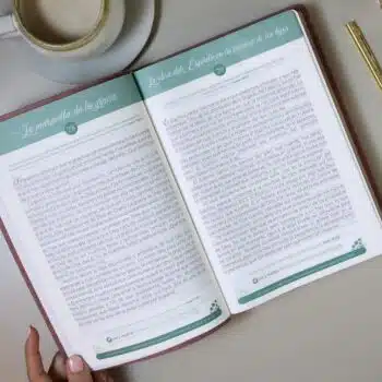 Biblia de Promesas, Devocional, para Mujer, Reina Valera 1960, Letra Gigante, Símil Piel, Rosa 9780789928627 Biblia de Promesas, Devocional, para Mujer, Reina Valera 1960, Letra Gigante, Símil Piel, Rosa - 9780789928627
