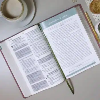 Biblia de Promesas, Devocional, para Mujer, Reina Valera 1960, Letra Gigante, Símil Piel, Rosa 9780789928627 Biblia de Promesas, Devocional, para Mujer, Reina Valera 1960, Letra Gigante, Símil Piel, Rosa - 9780789928627
