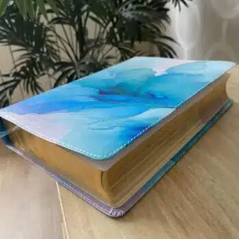 Biblia de una jóven conforme al corazón de Dios, Reina Valera 1960, Símil Piel, Azul brisa, Canto dorado 9780825462450 Biblia de una jóven conforme al corazón de Dios, Reina Valera 1960, Símil Piel, Azul brisa, Canto dorado - 9780825462450