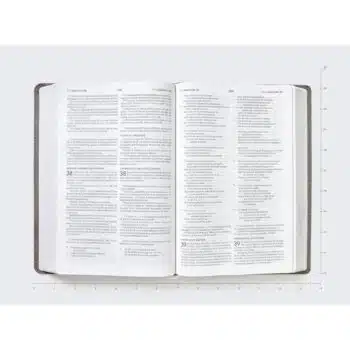 Biblia Bilingüe, ESV/NBLA, Símil Piel, Gris 9780829774276 Biblia Bilingüe, ESV/NBLA, Símil Piel, Gris - 9780829774276