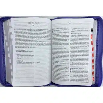 Biblia Reina Valera 1960, Letra Grande, Símil Piel, Índice, Cierre, Lavanda 9781430084952 Biblia Reina Valera 1960, Letra Grande, Símil Piel, Índice, Cierre, Lavanda - 9781430084952