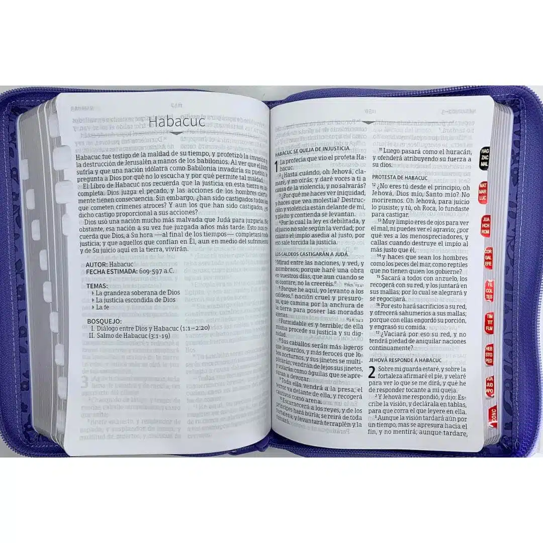 Biblia Reina Valera 1960, Letra Grande, Símil Piel, Índice, Cierre, Lavanda 9781430084952 Biblia Reina Valera 1960, Letra Grande, Símil Piel, Índice, Cierre, Lavanda - Imagen 4