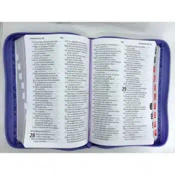 Biblia Reina Valera 1960, Letra Grande, Símil Piel, Índice, Cierre, Lavanda 9781430084952 Biblia Reina Valera 1960, Letra Grande, Símil Piel, Índice, Cierre, Lavanda - 9781430084952