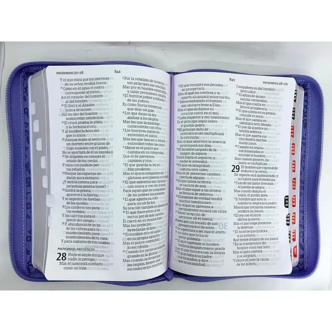 Biblia Reina Valera 1960, Letra Grande, Símil Piel, Índice, Cierre, Lavanda 9781430084952 Biblia Reina Valera 1960, Letra Grande, Símil Piel, Índice, Cierre, Lavanda - Imagen 5