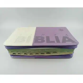 Biblia Reina Valera 1960, Letra Grande, Símil Piel, Índice, Cierre, Beige-Morado 9786287781740 Biblia Reina Valera 1960, Letra Grande, Símil Piel, Índice, Cierre, Beige-Morado - 9786287781740