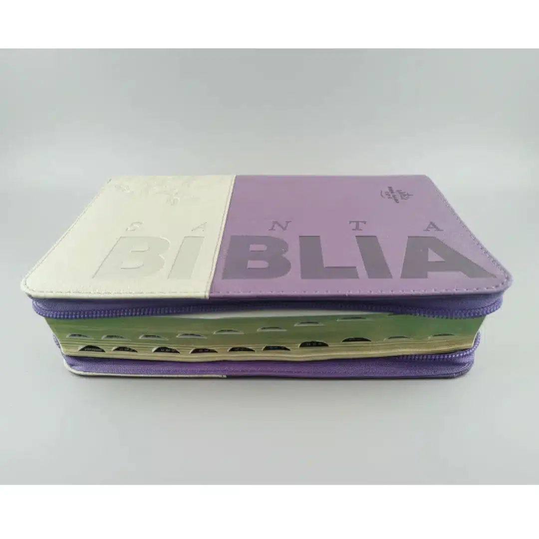 Biblia Reina Valera 1960, Letra Grande, Símil Piel, Índice, Cierre, Beige-Morado 9786287781740 Biblia Reina Valera 1960, Letra Grande, Símil Piel, Índice, Cierre, Beige-Morado - Imagen 3