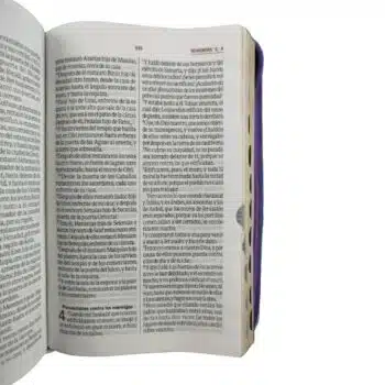 Biblia Reina Valera 1960, Letra Grande, Símil Piel, Índice, Cierre, Beige-Morado 9786287781740 Biblia Reina Valera 1960, Letra Grande, Símil Piel, Índice, Cierre, Beige-Morado - 9786287781740