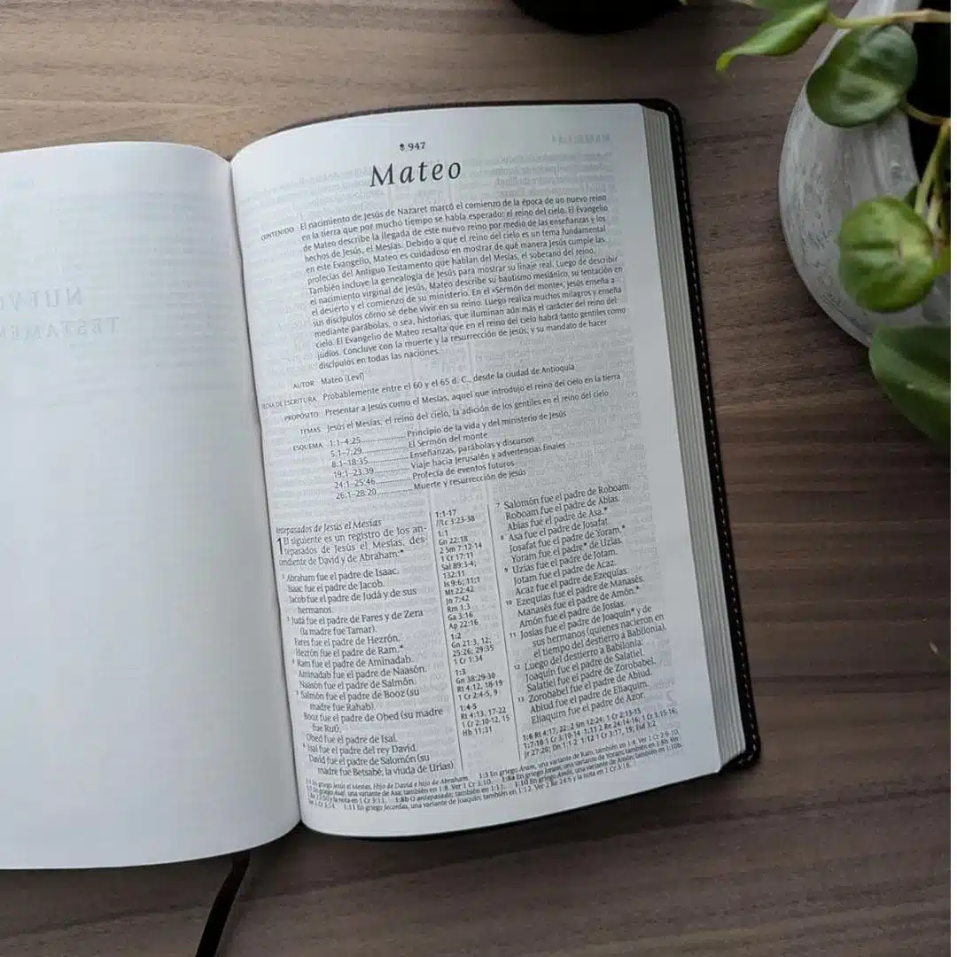 Biblia NTV, Letra Grande, Símil Piel, Filament, Café, Referencia en Columna 9798400506819 Biblia NTV, Letra Grande, Símil Piel, Filament, Café, Referencia en Columna - Imagen 3