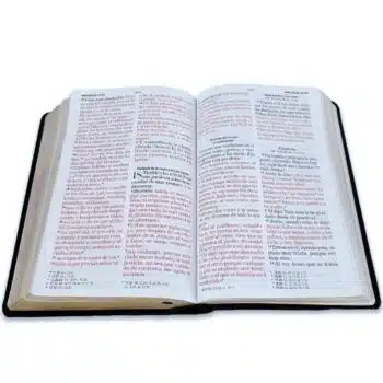 Biblia Reina Valera 1960, Letra Gigante, Símil Piel, Negro, Canto Dorado 9798885169035 Biblia Reina Valera 1960, Letra Gigante, Símil Piel, Negro, Canto Dorado - 9798885169035