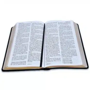 Biblia Reina Valera 1960, Letra Gigante, Símil Piel, Negro, Canto Dorado 9798885169035 Biblia Reina Valera 1960, Letra Gigante, Símil Piel, Negro, Canto Dorado - 9798885169035