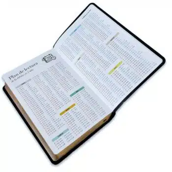 Biblia Reina Valera 1960, Letra Gigante, Símil Piel, Negro, Canto Dorado 9798885169035 Biblia Reina Valera 1960, Letra Gigante, Símil Piel, Negro, Canto Dorado - 9798885169035