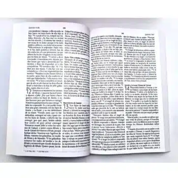 Biblia Económica, Reina Valera 1960, Tapa Blanda, Negro 9798890980779 Biblia Económica, Reina Valera 1960, Tapa Blanda, Negro - 9798890980779