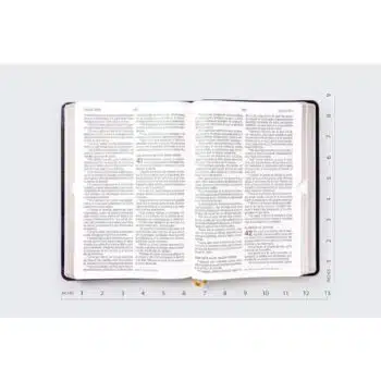 Biblia del Ministro, Reina Valera 1960, Letra Gigante, Símil Piel, Negro 9780829773620 Biblia del Ministro, Reina Valera 1960, Letra Gigante, Símil Piel, Negro - 9780829773620