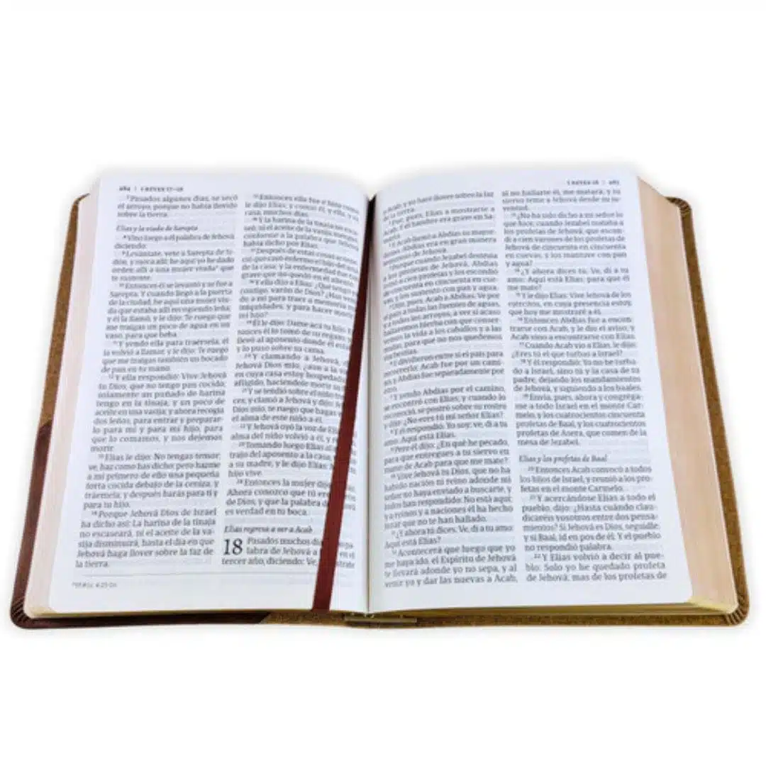 Biblia Reina Valera 1960, Tamaño Manual, Letra Grande, Símil Piel, Café Duotono 9781430082170 Biblia Reina Valera 1960, Tamaño Manual, Letra Grande, Símil Piel, Café Duotono - Imagen 3