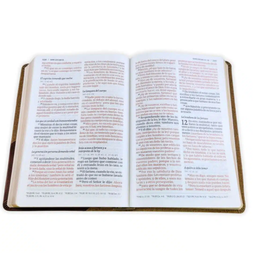 Biblia Reina Valera 1960, Tamaño Manual, Letra Grande, Símil Piel, Café Duotono 9781430082170 Biblia Reina Valera 1960, Tamaño Manual, Letra Grande, Símil Piel, Café Duotono - Imagen 4