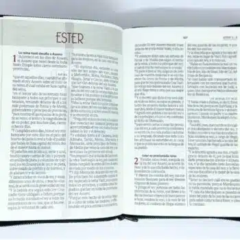 Biblia de Oraciones, Reina Valera 1960, Letra Grande, Símil Piel, Cierre, Gris, Negro 9789587456929 Biblia de Oraciones, Reina Valera 1960, Letra Grande, Símil Piel, Cierre, Gris, Negro - 9789587456929