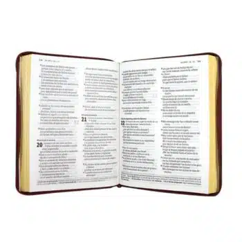 Biblia DHH, Letra Gigante, Símil Piel, Cierre, Vino Tinto, Canto Pintado 9789587458978 Biblia DHH, Letra Gigante, Símil Piel, Cierre, Vino Tinto, Canto Pintado - 9789587458978