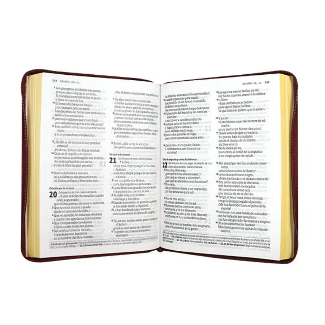 Biblia DHH, Letra Gigante, Símil Piel, Cierre, Vino Tinto, Canto Pintado 9789587458978 Biblia DHH, Letra Gigante, Símil Piel, Cierre, Vino Tinto, Canto Pintado - Imagen 3